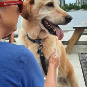 Meet your Posher, Renee